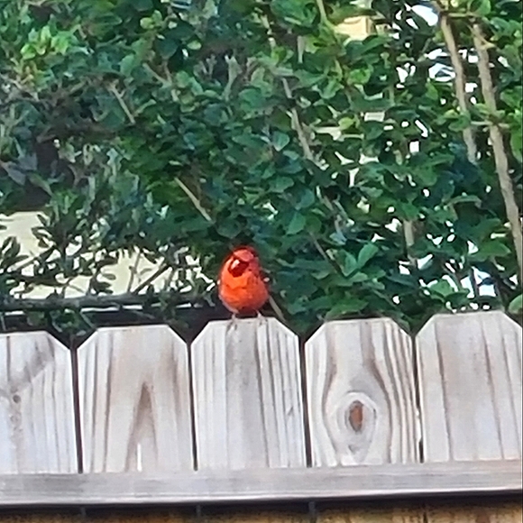 I'm Featured❄️Follow Game #1 - Picture 2 of 6